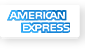 american express logo
