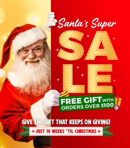 3 Days Only! HUGE Wall Decor Deals - small