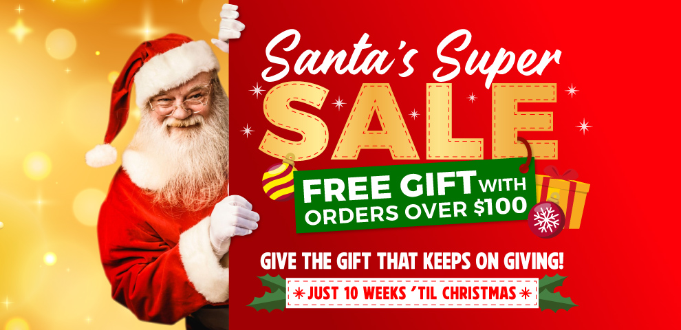 3 Days Only! HUGE Wall Decor Deals - medium