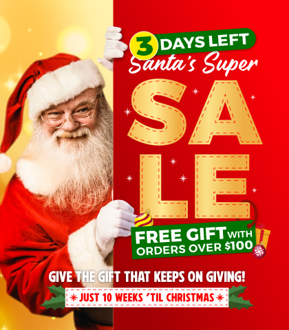 3 Days Only! HUGE Wall Decor Deals - small